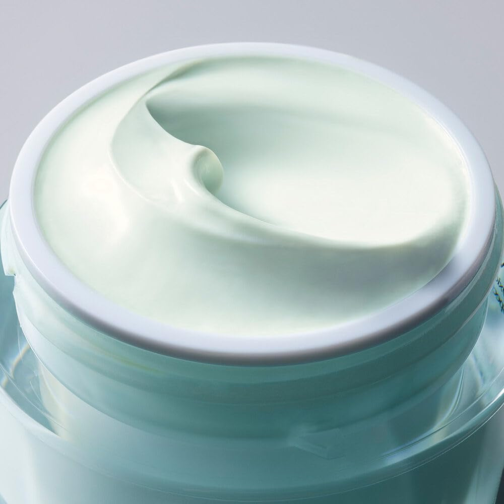 Daywear Multi-Protection Anti-Oxidant 24H-Moisture Cream SPF 15 | Anti-Aging Moisturizer | Face Cream