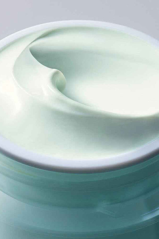 Daywear Multi-Protection Anti-Oxidant 24H-Moisture Cream SPF 15 | Anti-Aging Moisturizer | Face Cream